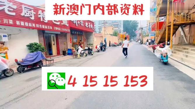 新澳門(mén)天天開(kāi)好彩，探索未來(lái)的希望與機(jī)遇